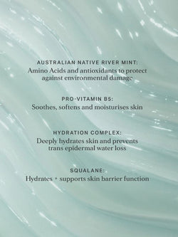 Alpha-H High Tide Water Cream with Australian Mint